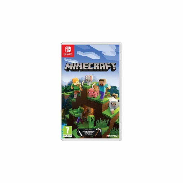 Jeu Switch NINTENDO Minecraft neuf 24,99 EUR
