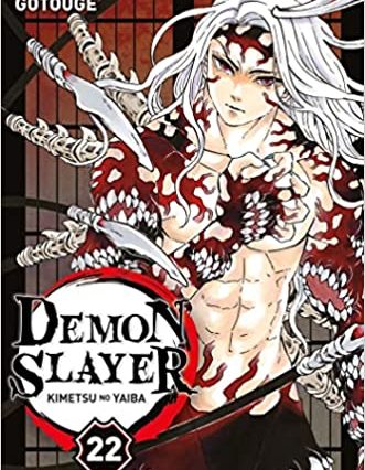 Demon Slayer T22 neuf 7,29 euros