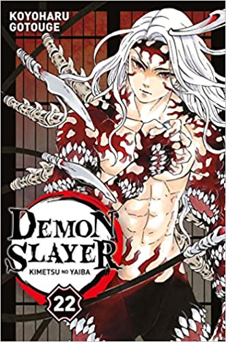 Demon Slayer T22 neuf 7,29 euros
