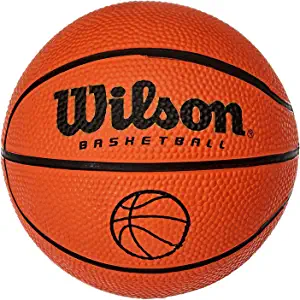 Wilson Ballon de basket-ball pour intérieur et extérieur 9,95€