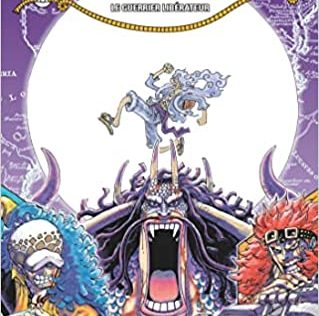 One Piece éditions Originaes Tomes 103 et précommande 104 neufs 6,99 euros