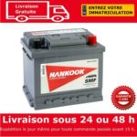 Hankook 54321 Batterie de Démarrage Pour Voiture 12V 45Ah neuve 53,60 EUR