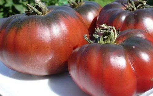 Graines Tomates Noire de Crimée x 25 Naturelles 2,99 euros