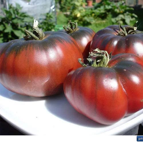 Graines Tomates Noire de Crimée x 25 Naturelles 2,99 euros