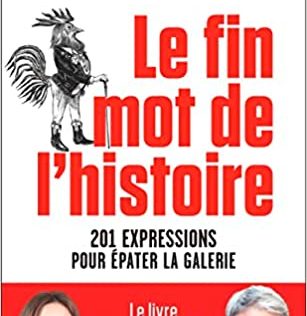 Le fin mot de l'histoire: 201 expressions pour épater la galerie de Nathalie Gendrot et Guillaume Meurice neuf 19,00 €
