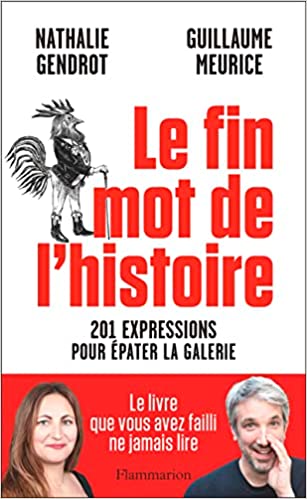 Le fin mot de l'histoire: 201 expressions pour épater la galerie de Nathalie Gendrot et Guillaume Meurice neuf 19,00 €