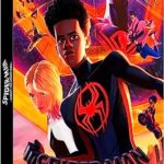Spiderman : Across The Spider-Verse DVD neuf 19,99€
