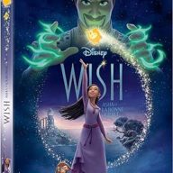 Wish-Asha et la Bonne étoile DVD 15,99€